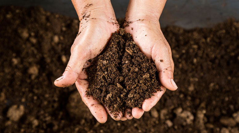 Healthy soil in hands